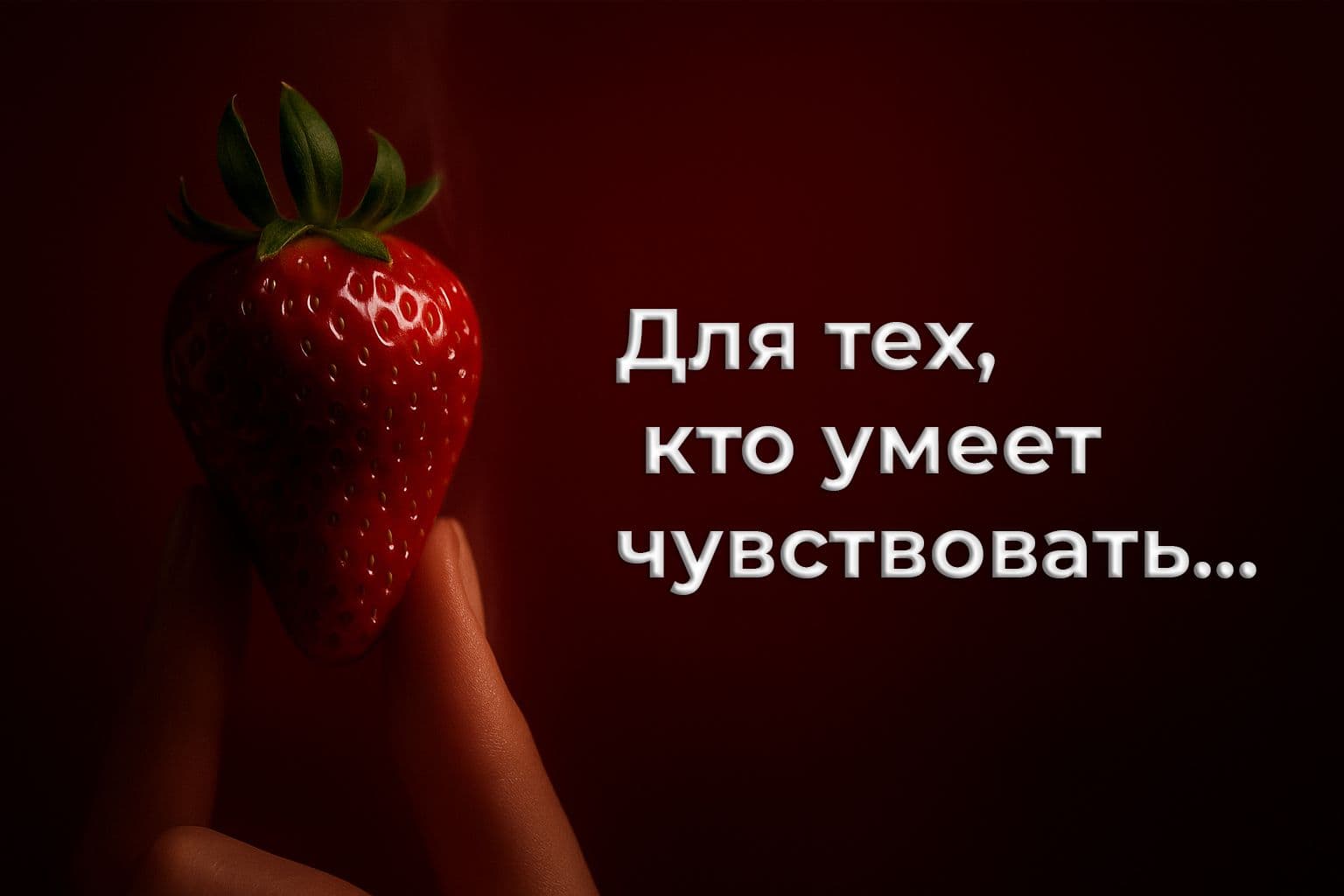 not defined in strapi