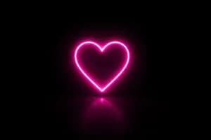 not defined in strapi